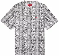 Small Box Tee (SS24) Snake
