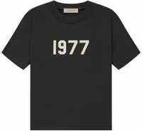 Essentials 1977 T-shirt Iron