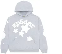 Sp5der Beluga Hoodie Grey