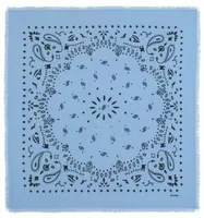 Bandana Hachiko Celestial