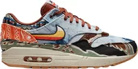 Nike Air Max 1 SP Concepts Heavy