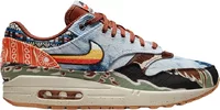 Nike Air Max 1 SP Concepts Heavy