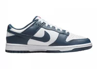 Nike Dunk Low Valerian Blue