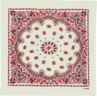Small Cashmere Bandana Hachi Western Coral Red