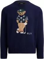 Polo Bear Performance Jumper Refined Navy