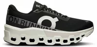 On Running Cloudmonster 2 Black Frost (W)