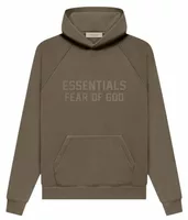 Essentials Hoodie Wood