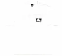 Stussy Box Crown Tee White