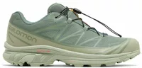 XT-6 Gore-Tex Desert Sage