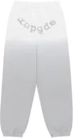 Sp5der Og Web V2 Ombre Sweatpant Sport Grey