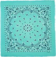 Cashmere Bandana Hachiko Bico Turquoise Green