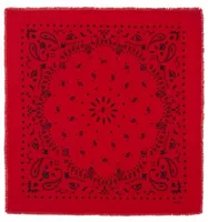 Large Bandana Hachiko Coral Red