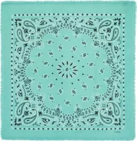 Cashmere Bandana Hachiko Bico Marshmallow Green
