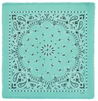 Cashmere Bandana Hachiko Bico Marshmallow Green
