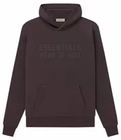 Essentials Hoodie Plum