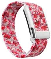 Azalea SuperKnit MG Band