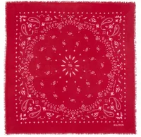 Small Hachi Bandana Red Pink