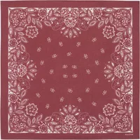Small Bandana Heli Sierra