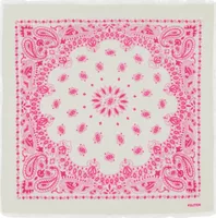 Small Cashmere Bicolor Bandana Hachi White Pink