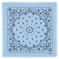 Small Bandana Hachi Celestial