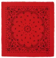 Cashmere Bandana Hachiko Rouge Corail
