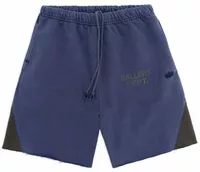 GD Champion Shorts Washed Purple/Washed Brown