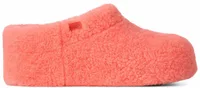 Enwrap Fluffed Clog Orange Gerbera (W)