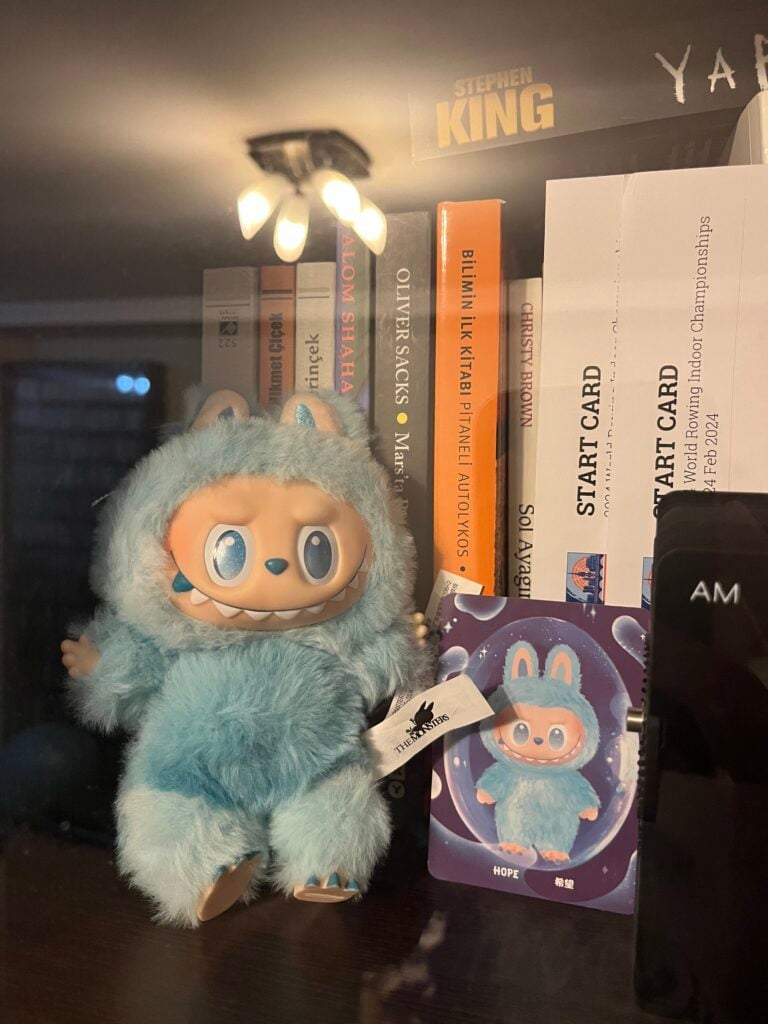 Müşteri fotoğrafı: Pop Mart Labubu The Monsters Big into Energy Series Vinyl Plush Pendant Single Blind Box
